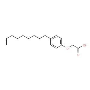 2-(4-Nonylphenoxy)acetic acid | CAS 3115-49-9 | SCBT - Santa Cruz  Biotechnology