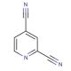 2,4-Pyridinedicarbonitrile (CAS 29181-50-8) - chemical structure image