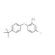 2-[4-(tert-Butyl)phenoxy]-5-chlorophenylamine - chemical structure image