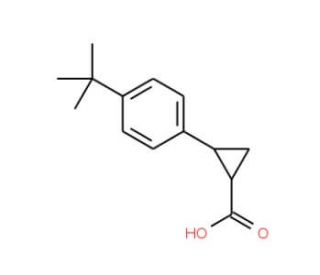 2-(4-tert-Butyl-phenyl)-cyclopropanecarboxylic acid - chemical structure image