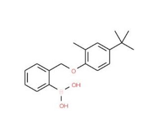 2-[(4&prime;-tert-Butyl-2&prime;-methylphenoxy)methyl]phenylboronic acid (CAS 1072951-76-8) - chemical structure image