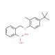 2-[(4′-tert-Butyl-2′-methylphenoxy)methyl]phenylboronic acid (CAS 1072951-76-8) - chemical structure image