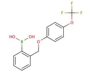 2-[[4&prime;-(Trifluoromethoxy)phenoxy]methyl]phenylboronic acid (CAS 849062-07-3) - chemical structure image
