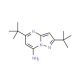 2,5-Di-tert-butyl-pyrazolo[1,5-a]pyrimidin-7-ylamine - chemical structure image