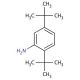 2,5-Di-tert-butylaniline (CAS 21860-03-7) - chemical structure image