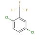 2,5-Dichlorobenzotrifluoride (CAS 320-50-3) - chemical structure image