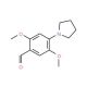 2,5-Dimethoxy-4-pyrrolidin-1-yl-benzaldehyde (CAS 692775-87-4) - chemical structure image
