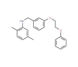2,5-Dimethyl-N-[3-(2-phenoxyethoxy)benzyl]aniline - chemical structure image