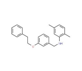 2,5-Dimethyl-N-[3-(phenethyloxy)benzyl]aniline - chemical structure image