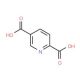 2,5-Pyridinedicarbonyl Acid-13C7 - chemical structure image