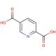 2,5-Pyridinedicarboxylic acid (CAS 100-26-5) - chemical structure image