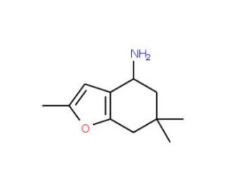 2,6,6-trimethyl-4,5,6,7-tetrahydro-1-benzofuran-4-amine - chemical structure image