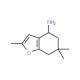 2,6,6-trimethyl-4,5,6,7-tetrahydro-1-benzofuran-4-amine - chemical structure image