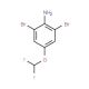 2,6-Dibromo-4-(difluoromethoxy)aniline - chemical structure image