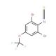 2,6-Dibromo-4-trifluoromethoxyphenyl isothiocyanate - chemical structure image