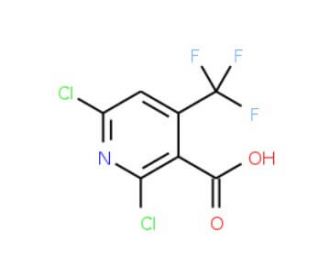 2,6-Dichloro-4-(trifluoromethyl)nicotinic acid (CAS 503437-19-2) - chemical structure image