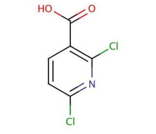 2,6-Dichloropyridine-3-carboxylic Acid (CAS 38496-18-3) - chemical structure image