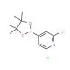 2,6-Dichloropyridine-4-boronic acid, pinacol ester (CAS 408492-27-3) - chemical structure image