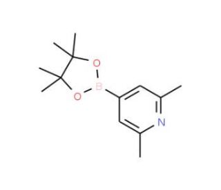 2,6-Dimethylpyridine-4-boronic acid, pinacol ester (CAS 325142-95-8) - chemical structure image