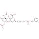2-Acetamido-2-deoxy-3,4,6-tri-O-acetyl-N[N-(benzyloxycarbonyl)-ε-aminocaproyl]-β-D-glucopyranosylamine (CAS 56146-88-4) - che
