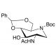 2-Acetamido-4,6-O-benzylidene-N-(tert-butoxycarbonyl)-1,2,5-trideoxy-1,5-imino-D-glucitol - chemical structure image