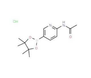2-Acetamidopyridine-5-boronic acid, pinacol ester, HCl (CAS 1150561-64-0) - chemical structure image