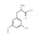 2-amino-3-(3-hydroxy-5-methoxyphenyl)propanoic acid - chemical structure image