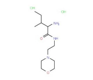 2-amino-3-methyl-N-(2-morpholin-4-ylethyl)pentanamide dihydrochloride - chemical structure image
