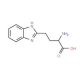2-Amino-4-(1H-benzoimidazol-2-yl)-butyricacid - chemical structure image