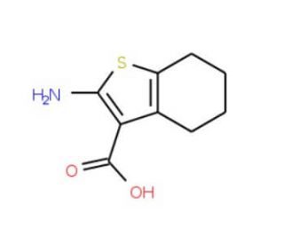 2-Amino-4,5,6,7-tetrahydro-benzo[b]thiophene-3-carboxylic acid - chemical structure image