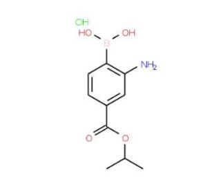 2-Amino-4-(isopropoxycarbonyl)phenylboronic acid hydrochloride (CAS 1150114-64-9) - chemical structure image