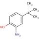 2-Amino-4-tert-butylphenol (CAS 1199-46-8) - chemical structure image