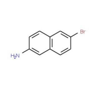 2-Amino-6-bromonaphthalene (CAS 7499-66-3) - chemical structure image