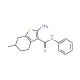 2-Amino-6-methyl-N-phenyl-4,5,6,7-tetrahydro-1-benzothiophene-3-carboxamide - chemical structure image
