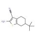 2-amino-6-tert-butyl-4,5,6,7-tetrahydro-1-benzothiophene-3-carbonitrile (CAS 42159-76-2) - chemical structure image
