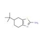 2-Amino-6-tert-butyl-4,5,6,7-tetrahydrobenzothiazole - chemical structure image