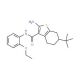 2-Amino-6-tert-butyl-N-(2-ethoxyphenyl)-4,5,6,7-tetrahydrobenzo[b]thiophene-3-carboxamide - chemical structure image