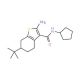 2-Amino-6-tert-butyl-N-cyclopentyl-4,5,6,7-tetrahydro-1-benzothiophene-3-carboxamide - chemical structure image