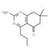 2-Amino-7,8-dihydro-7,7-dimethyl-4-propyl-5(6H)-quinazolinone (CAS 331966-05-3) - chemical structure image