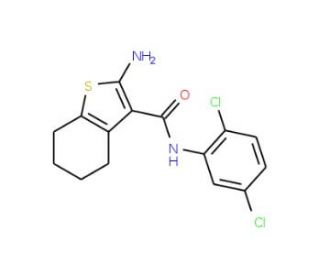 2-Amino-N-(2,5-dichlorophenyl)-4,5,6,7-tetrahydro-1-benzothiophene-3-carboxamide - chemical structure image