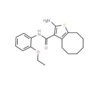 2-Amino-N-(2-ethoxyphenyl)-4,5,6,7,8,9-hexahydrocycloocta[b]thiophene-3-carboxamide - chemical structure image