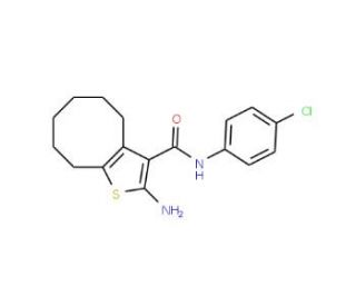 2-Amino-N-(4-chlorophenyl)-4,5,6,7,8,9-hexahydrocycloocta[b]thiophene-3-carboxamide - chemical structure image