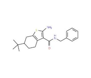 2-Amino-N-benzyl-6-tert-butyl-4,5,6,7-tetrahydro-1-benzothiophene-3-carboxamide - chemical structure image