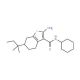 2-Amino-N-cyclohexyl-6-tert-pentyl-4,5,6,7-tetrahydrobenzo[b]thiophene-3-carboxamide - chemical structure image