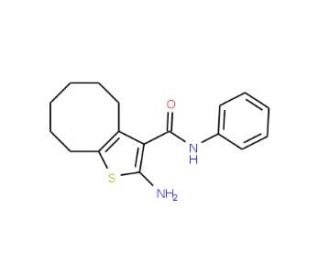 2-Amino-N-phenyl-4,5,6,7,8,9-hexahydrocycloocta-[b]thiophene-3-carboxamide - chemical structure image