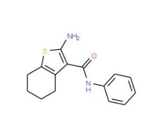 2-Amino-N-phenyl-4,5,6,7-tetrahydro-1-benzothiophene-3-carboxamide - chemical structure image