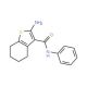 2-Amino-N-phenyl-4,5,6,7-tetrahydro-1-benzothiophene-3-carboxamide - chemical structure image