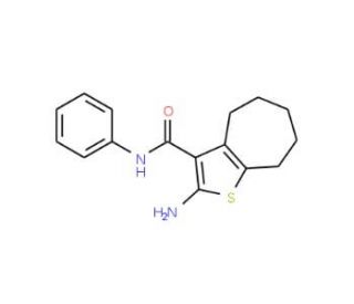 2-Amino-N-phenyl-5,6,7,8-tetrahydro-4H-cyclohepta[b]thiophene-3-carboxamide - chemical structure image