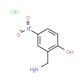 2-(aminomethyl)-4-nitrophenol hydrochloride (CAS 113186-97-3) - chemical structure image