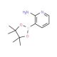 2-Aminopyridine-3-boronic acid, pinacol ester (CAS 1073354-97-8) - chemical structure image